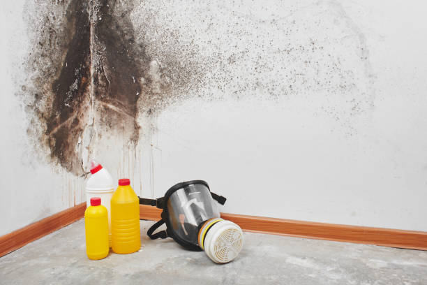 Best Mold Cleaning Services  in Footville, WI