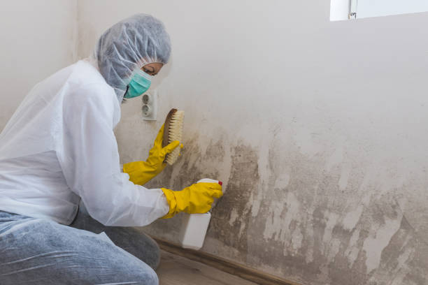Best Fast Mold Removal  in Footville, WI