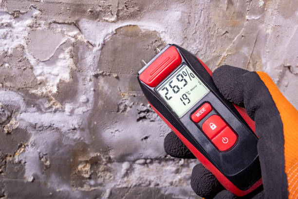 Best Mold Testing  in Footville, WI