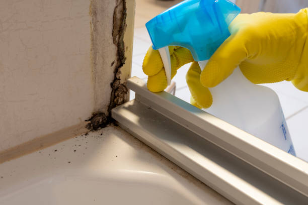 Best Water Damage Restoration  in Footville, WI