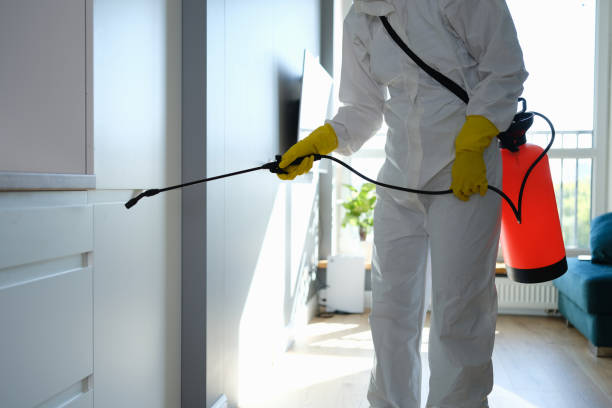 Footville, WI Mold Removal Company