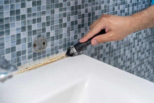 Best Mold Testing  in Footville, WI