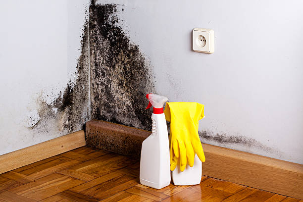 Water Damage Restoration in Footville, WI