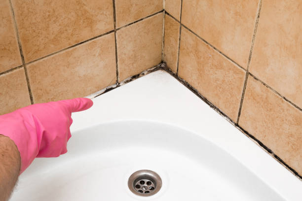 Best Mold Cleaning Services  in Footville, WI